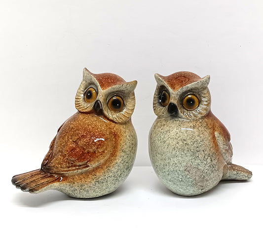 Pair of Resin Owls