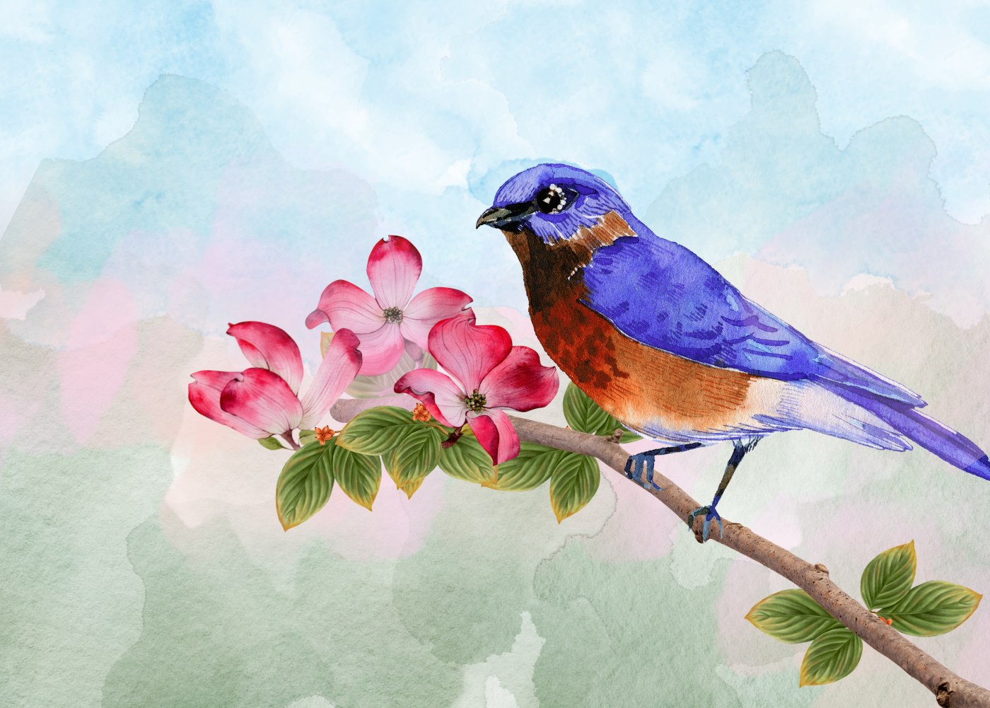 Bluebird Thinking of You Card